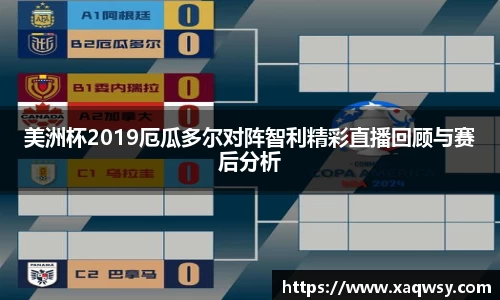 美洲杯2019厄瓜多尔对阵智利精彩直播回顾与赛后分析